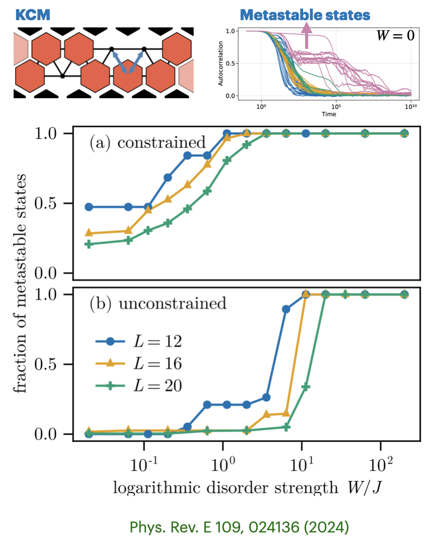 Kinetically Constrained Models