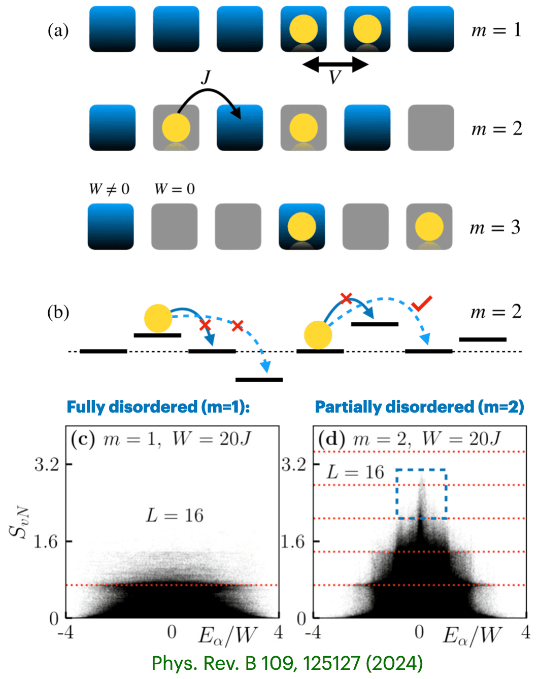 Many-body Localization